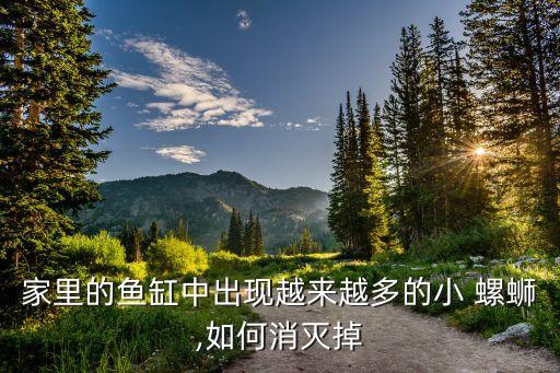 家里的魚缸中出現越來越多的小 螺螄,如何消滅掉