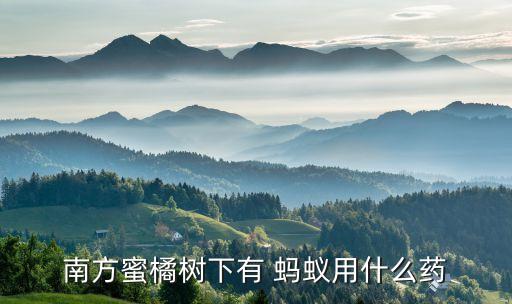 南方蜜橘樹下有 螞蟻用什么藥