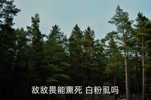 白粉虱用什么農藥殺死好,不用農藥殺死白粉虱