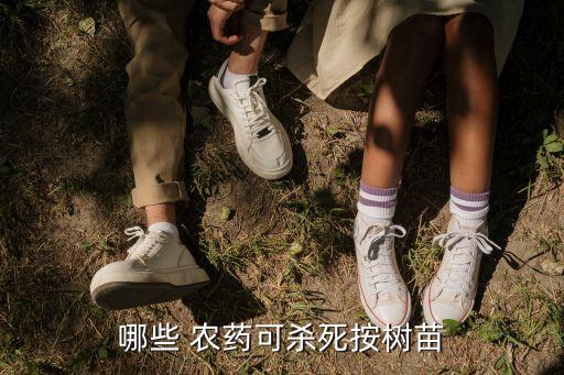 農(nóng)藥可以種植什么樹木呢,什么農(nóng)藥對樹木危害最大