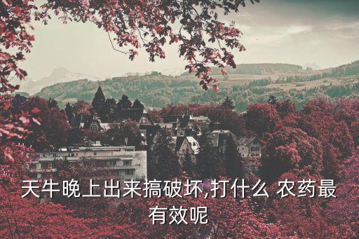 天牛晚上出來搞破壞,打什么 農(nóng)藥最有效呢