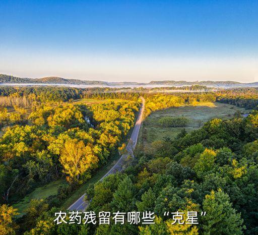 農藥殘留有哪些“克星”