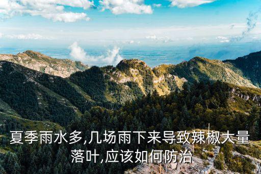 夏季雨水多,幾場雨下來導致辣椒大量 落葉,應該如何防治