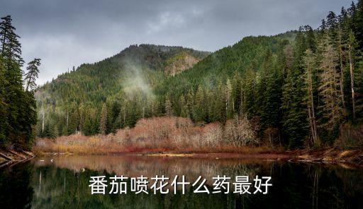 西紅柿打什么農(nóng)藥好,種植西紅柿用什么農(nóng)藥