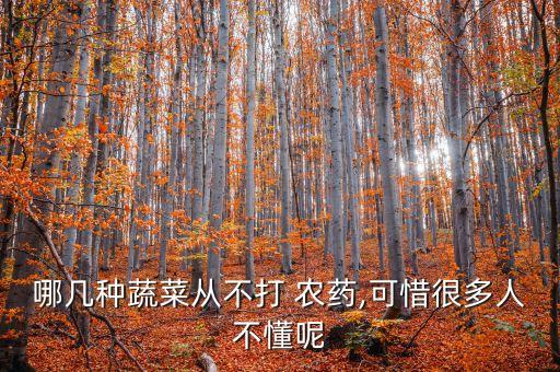 哪幾種蔬菜從不打 農藥,可惜很多人不懂呢