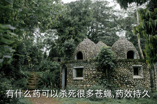 有什么藥可以殺死很多蒼蠅,藥效持久