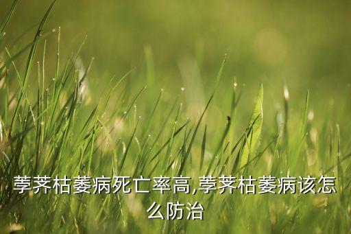 馬蹄苗死用什么農藥,馬蹄打什么農藥最快大