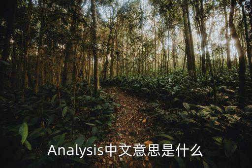 Analysis中文意思是什么