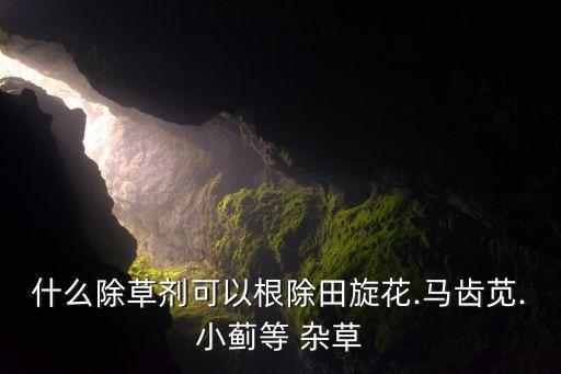 雜草用什么農藥除根,什么農藥讓雜草一年不長