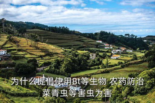 蘇云金桿菌農(nóng)藥殺什么蟲,什么農(nóng)藥殺地下蟲最好