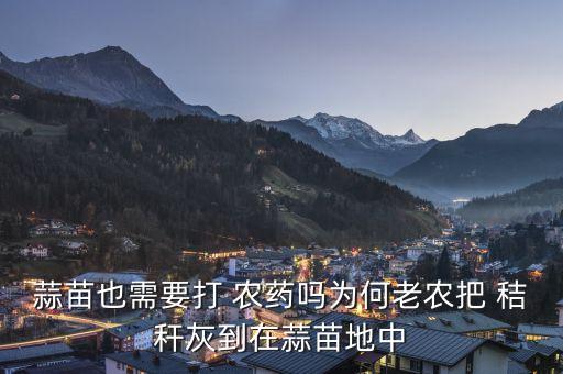 蒜苗也需要打 農藥嗎為何老農把 秸稈灰到在蒜苗地中