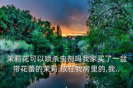茉莉花可以噴殺蟲劑嗎我家買了一盆帶花蕾的茉莉,放在我房里的,我...