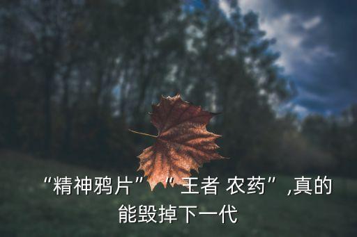 王者農(nóng)藥動畫片叫什么,王者打農(nóng)藥什么意思