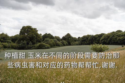 玉米苗用什么農藥殺蝗蟲,什么農藥能讓玉米不結棒