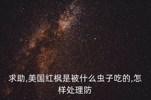 天牛用什么農藥效果好紅楓