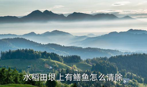 用什么農(nóng)藥可以打死黃鱔,什么農(nóng)藥可以殺死黃鱔