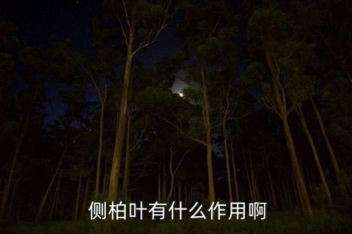 側(cè)柏葉是什么農(nóng)藥,真正的側(cè)柏葉是什么樣子?