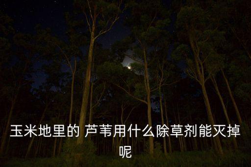 什么農藥能去除蘆葦,去除蘆葦草用什么農藥好