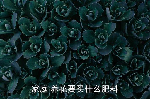 用什么農藥養花比較好,什么石頭養花比較好