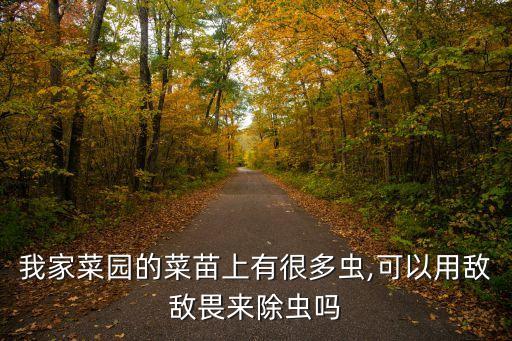 菜地除蟲(chóng)用什么農(nóng)藥,菜地打農(nóng)藥什么時(shí)間打好