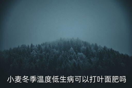 小麥冬季溫度低生病可以打葉面肥嗎