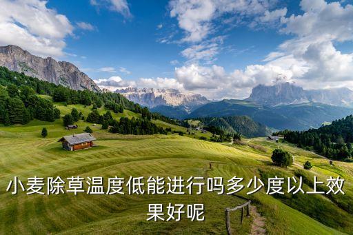 小麥除草溫度低能進行嗎多少度以上效果好呢