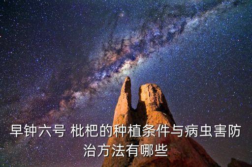 枇杷果樹可以打什么農藥,枇杷架接什么果樹