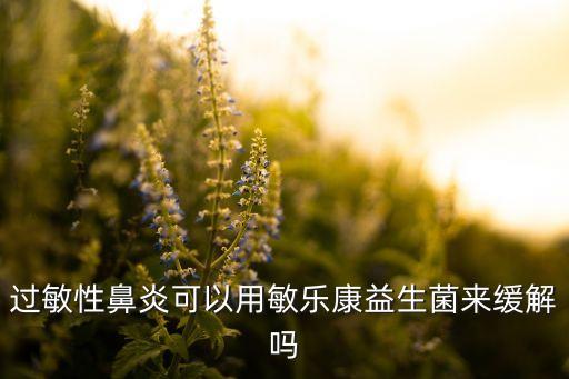 過敏性鼻炎可以用敏樂康益生菌來緩解嗎