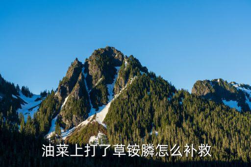 油菜上打了草銨膦怎么補救