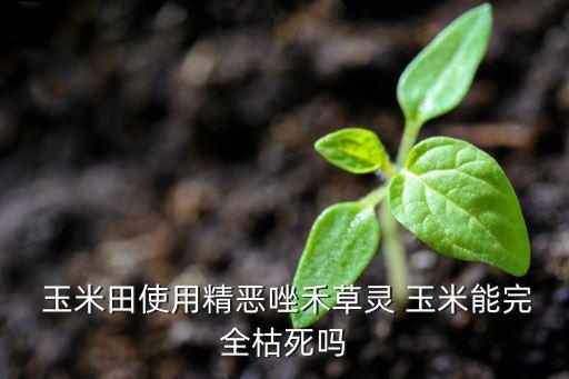 蟋蟀用什么農(nóng)藥噴死,什么農(nóng)藥可以噴死玉米