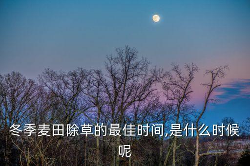 冬季麥田除草的最佳時間,是什么時候呢