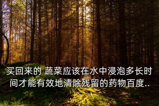 買回來的 蔬菜應該在水中浸泡多長時間才能有效地清除殘留的藥物百度...