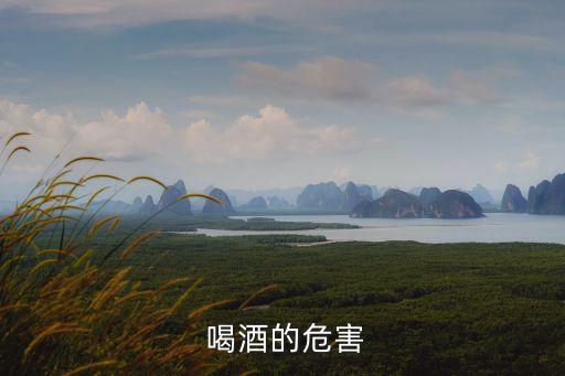  喝酒的危害