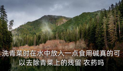 ,堿為什么能洗掉農(nóng)藥