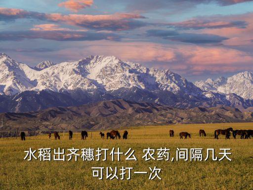 水稻抽穗期施什么農(nóng)藥,什么是水稻抽穗