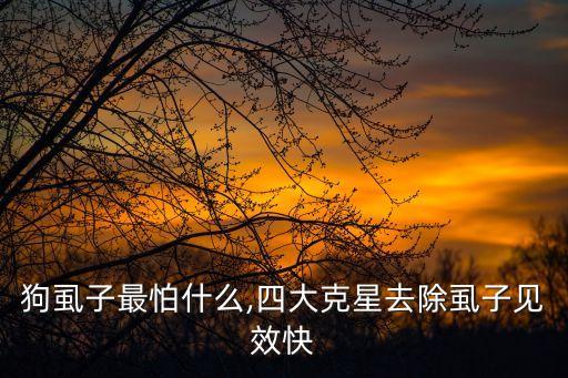什么農藥能殺狗虱,什么東西可以殺狗虱