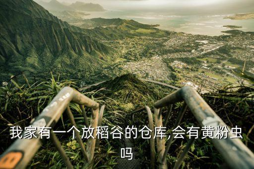 我家有一個(gè)放稻谷的倉庫,會(huì)有黃粉蟲嗎