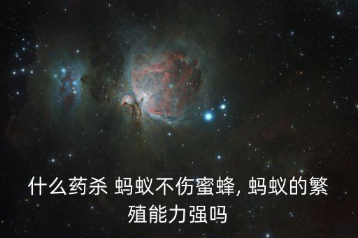 螞蟻用什么農藥好用,什么農藥殺螞蟻最有效