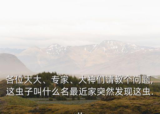 各位大大、專家、大神們請教個問題,這蟲子叫什么名最近家突然發現這蟲...