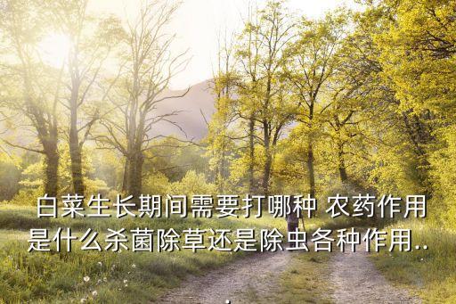 白菜的蟲子打什么農藥,白菜有蟲子用什么藥最好