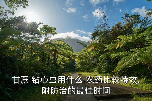 甘蔗 鉆心蟲用什么 農(nóng)藥比較特效,附防治的最佳時間