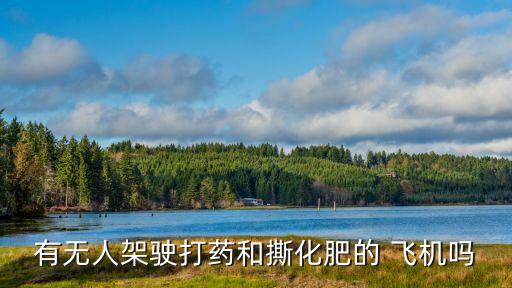 噴灑農藥都用什么飛機,gta5噴灑農藥飛機任務