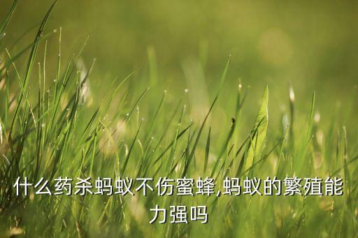 什么藥殺螞蟻不傷蜜蜂,螞蟻的繁殖能力強嗎