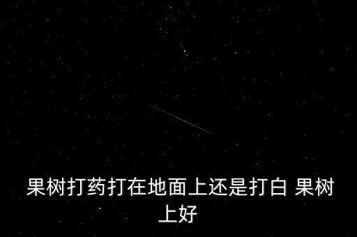 果樹打藥打在地面上還是打白 果樹上好