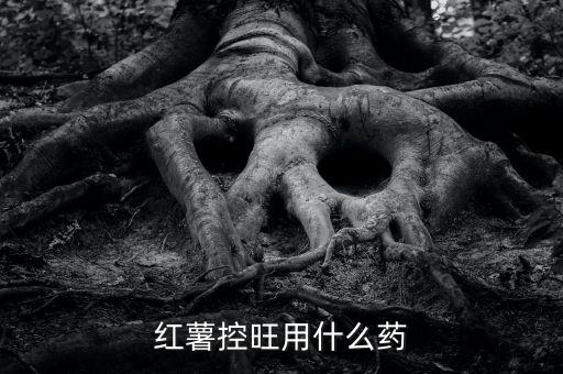 地瓜不長地瓜打什么農藥