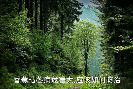 香蕉撒什么農藥,種植香蕉需要什么農藥