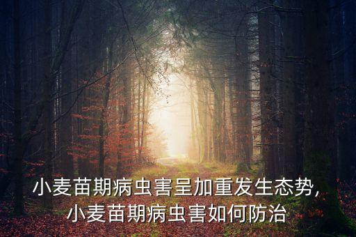 小麥銹病什么農藥,白銹病用什么農藥