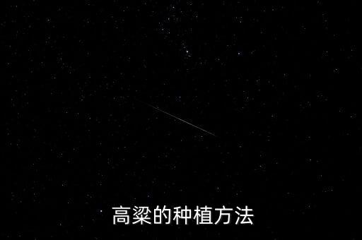  高粱的種植方法