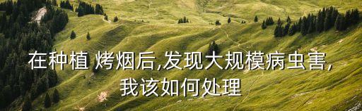 烤煙炭疽病用什么農藥,烤煙不黃打什么農藥