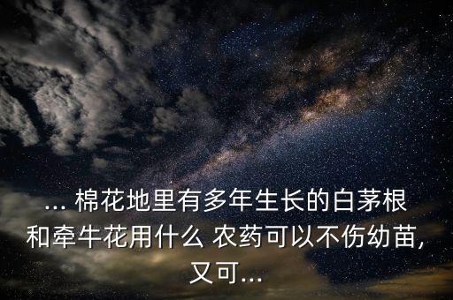 棉花打什么農藥可不長高,棉花后期打什么農藥